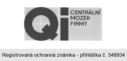 QI CENTRÁLNÍ MOZEK FIRMY