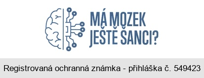 MÁ MOZEK JEŠTĚ ŠANCI?