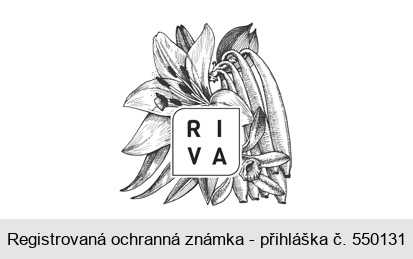 RIVA