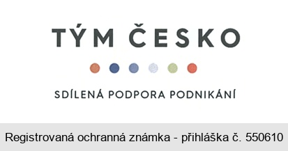 TÝM ČESKO 
SDÍLENÁ PODPORA PODNIKÁNÍ