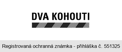 DVA KOHOUTI