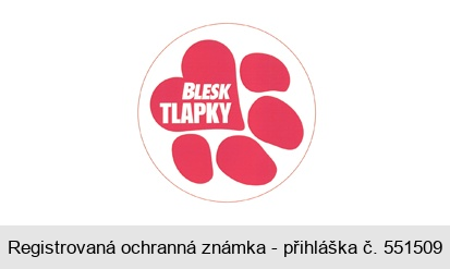 BLESK TLAPKY