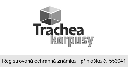 Trachea korpusy