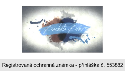 Bachata Brno