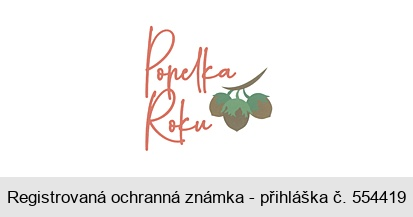 Popelka Roku
