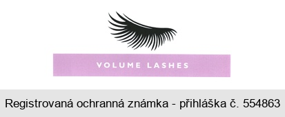 VOLUME LASHES