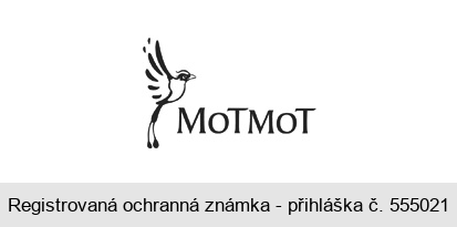 MOTMOT