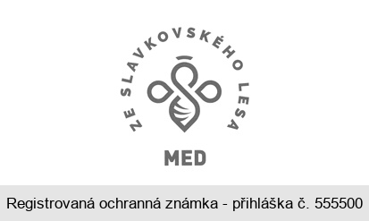 MED ZE SLAVKOVSKÉHO LESA