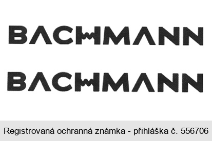 BACHMANN BACHMANN