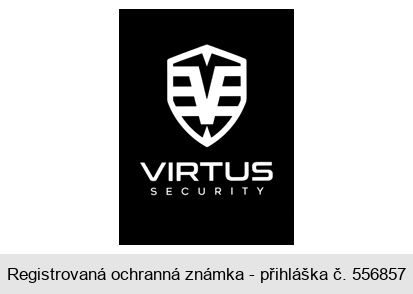 V VIRTUS SECURITY