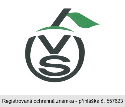 VŠÚO