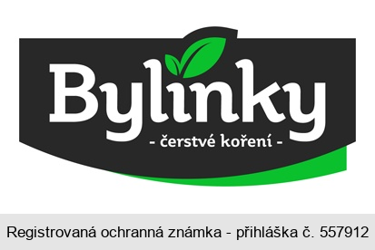 Bylinky - čerstvé koření -