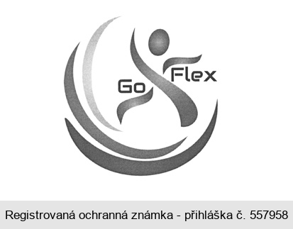 Go Flex