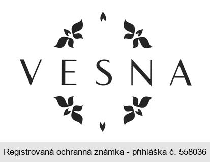 VESNA