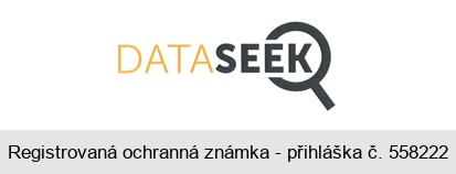 DATASEEK