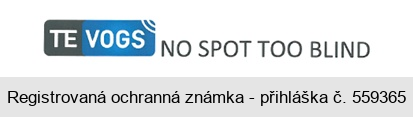 TE VOGS NO SPOT TOO BLIND