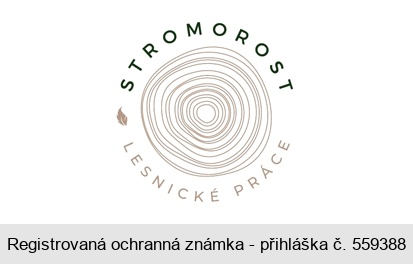 STROMOROST LESNICKÉ PRÁCE