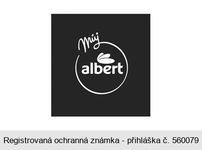 Můj albert