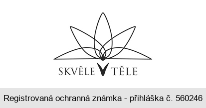 SKVĚLE V TĚLE