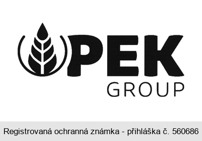 PEK GROUP