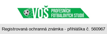 VOŠ PROFESNÍCH FOTBALOVÝCH STUDIÍ