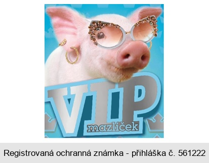 VIP mazlíček