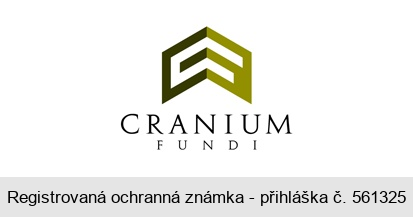 CRANIUM FUNDI