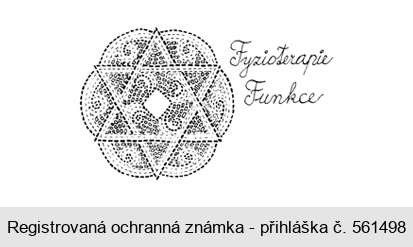 Fyzioterapie Funkce