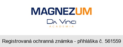 MAGNEZUM DA VINCI ACADEMIA