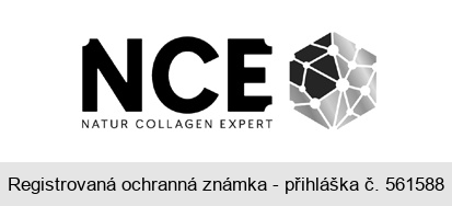 NCE NATUR COLLAGEN EXPERT