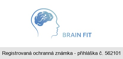 BRAIN FIT