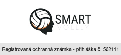 SMART VOLLEY