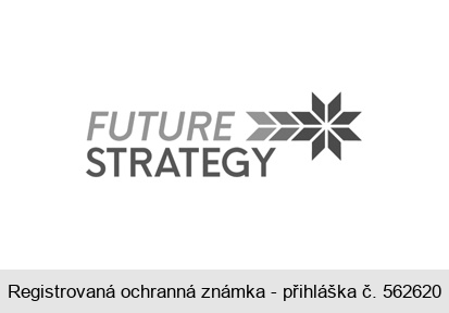 FUTURE STRATEGY