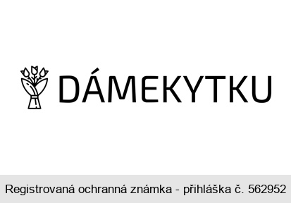 DÁMEKYTKU