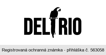 DELÍRIO