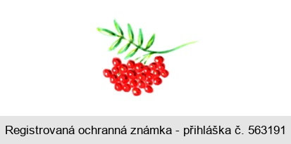 Ochranná známka