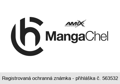 AMIX MangaChel