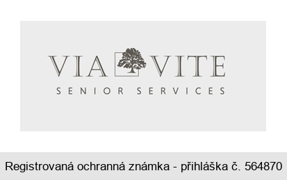 VIA VITE SENIOR SERVICES