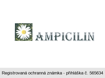 AMPICILIN