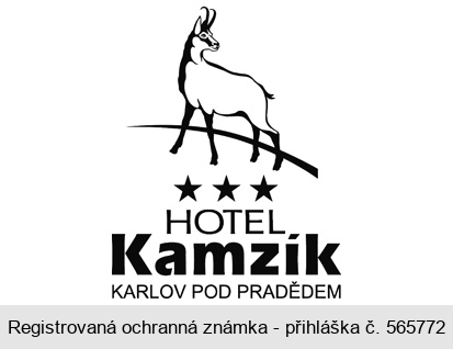 HOTEL Kamzík KARLOV POD PRADĚDEM