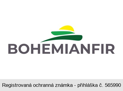 BOHEMIANFIR