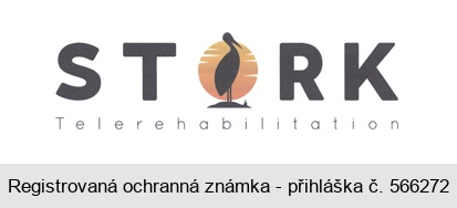 STORK Telerehabilitation