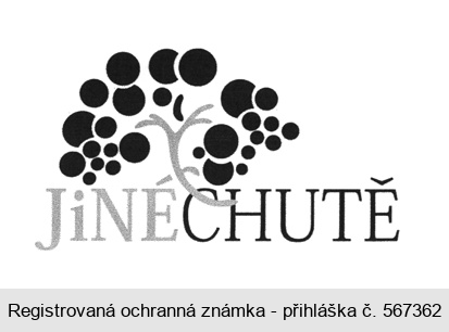 JiNÉ CHUTĚ