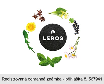 LEROS