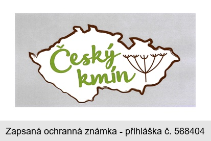 Český kmín