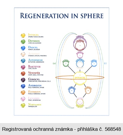 REGENERATION IN SPHERE