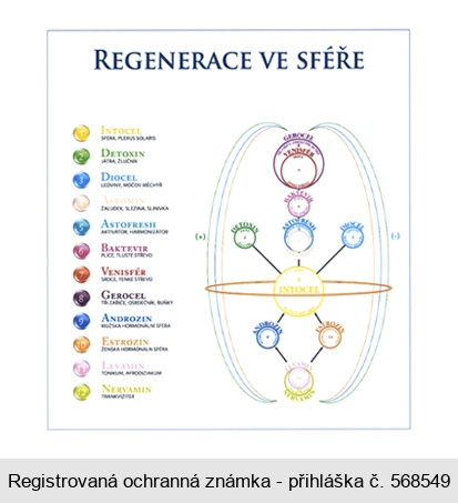 REGENERACE VE SFÉŘE