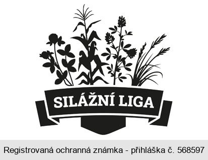 SILÁŽNÍ LIGA