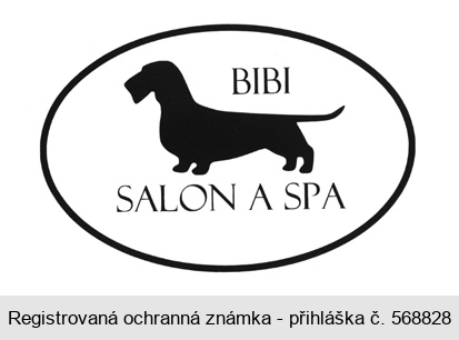 BIBI SALON A SPA