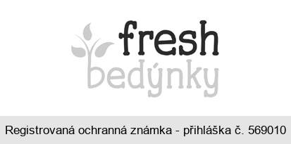 fresh bedýnky